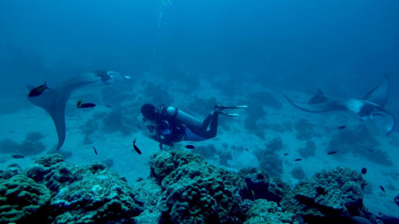 Rasreef Rasdhoo Maldives Hotell Eksteriør bilde