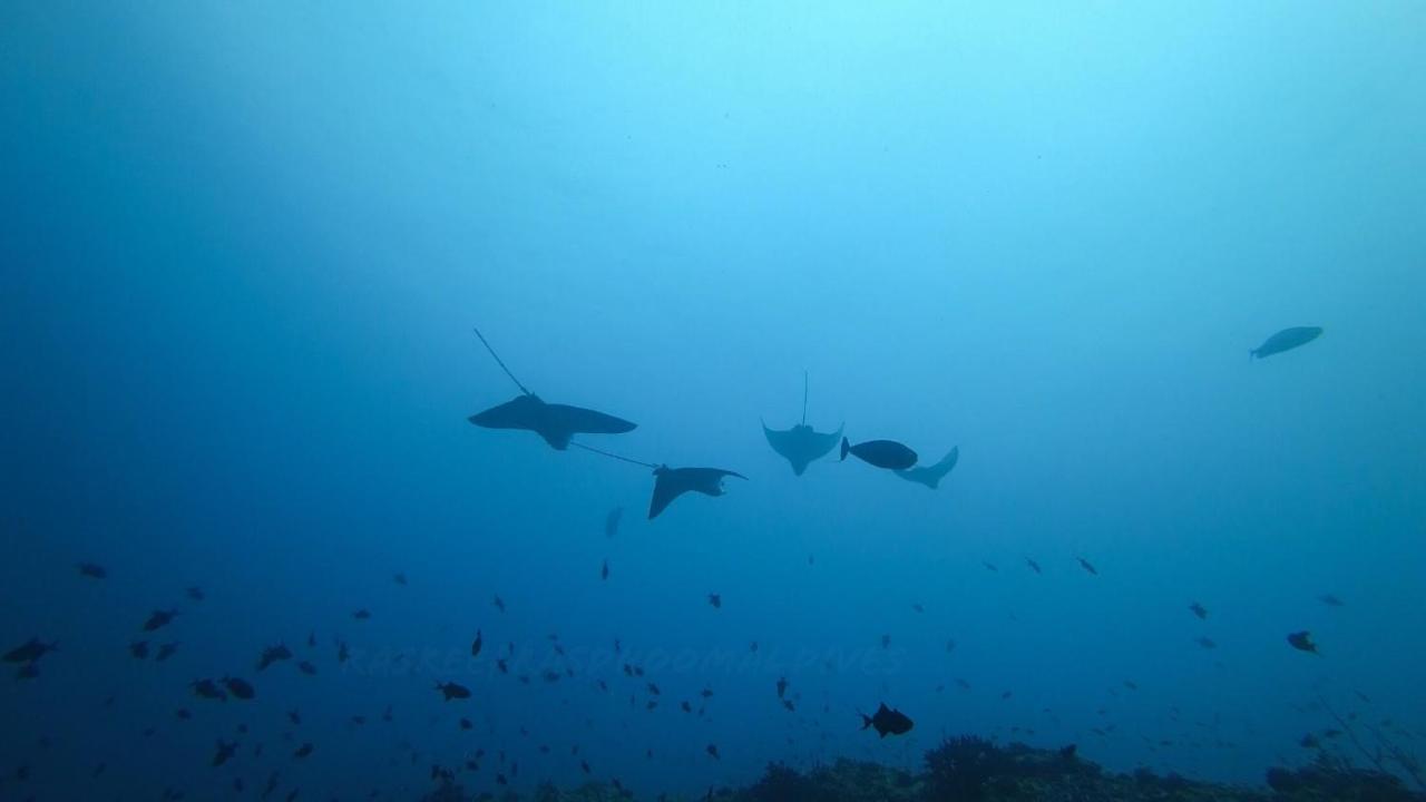 Rasreef Rasdhoo Maldives Hotell Eksteriør bilde