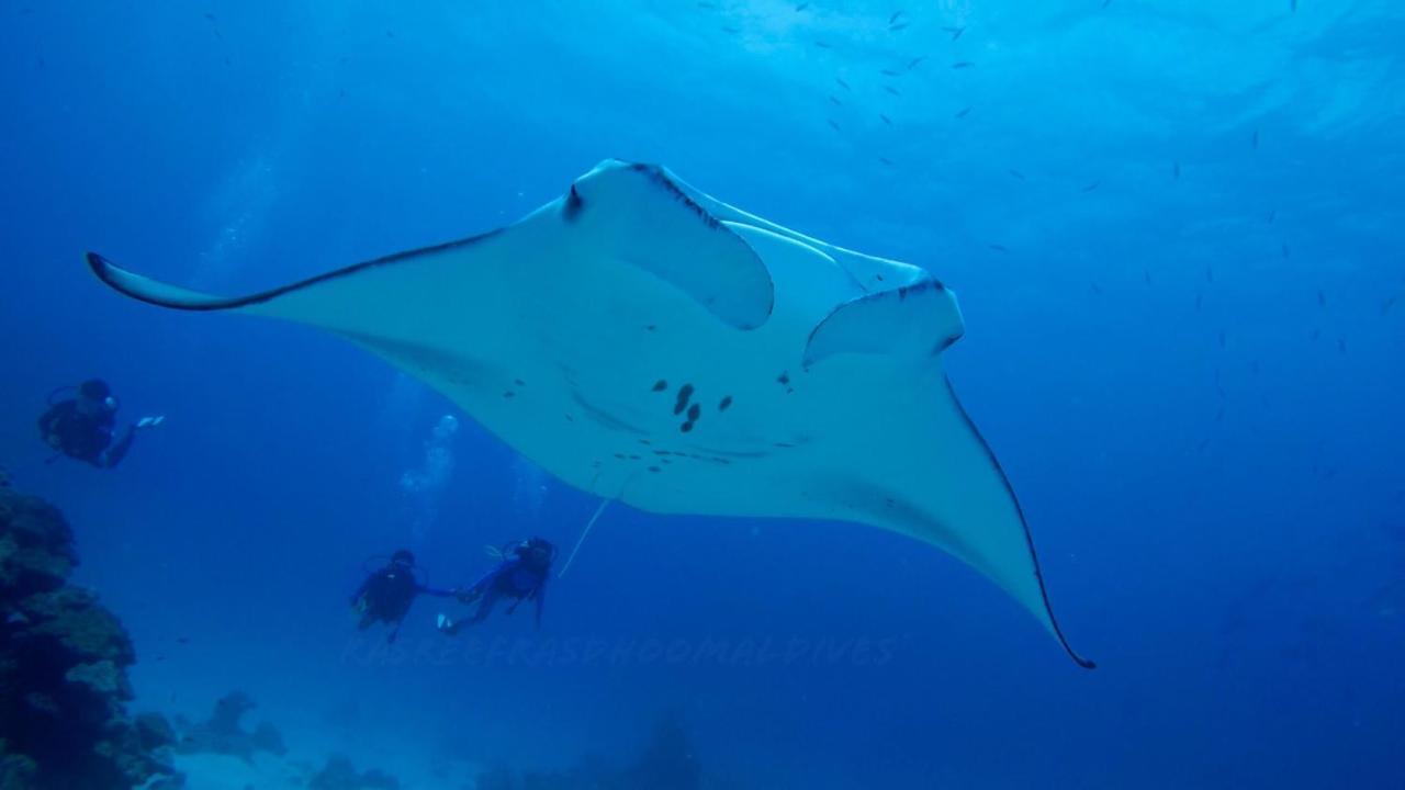 Rasreef Rasdhoo Maldives Hotell Eksteriør bilde